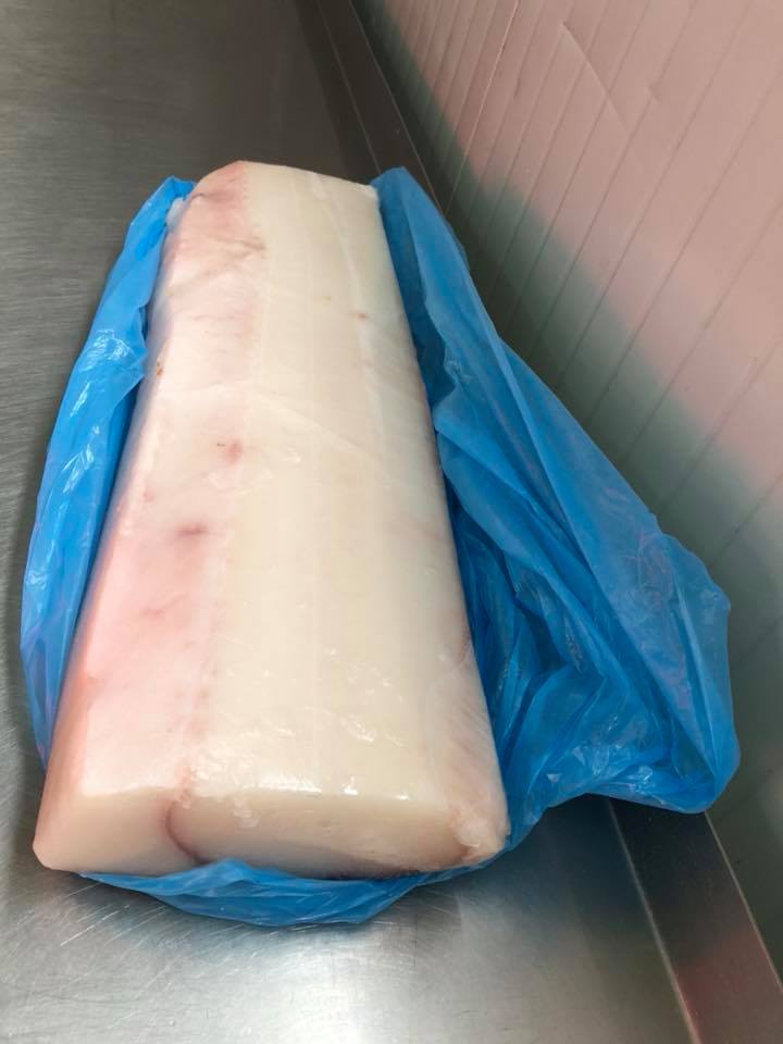 Morski pas bez kosti i koze 2