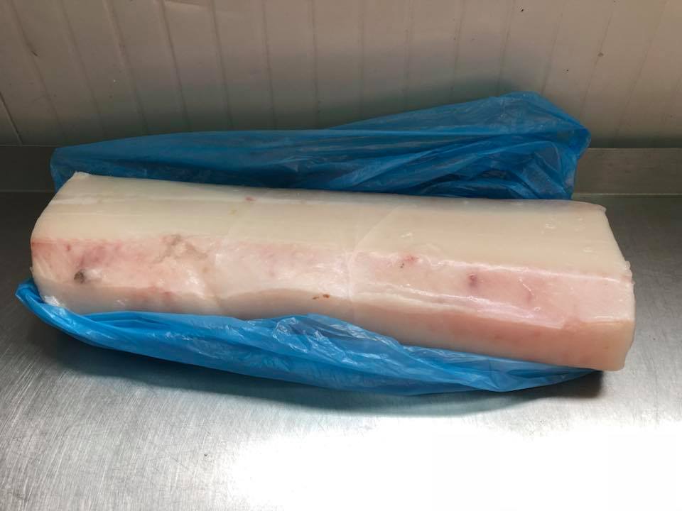 Morski pas bez kosti i koze